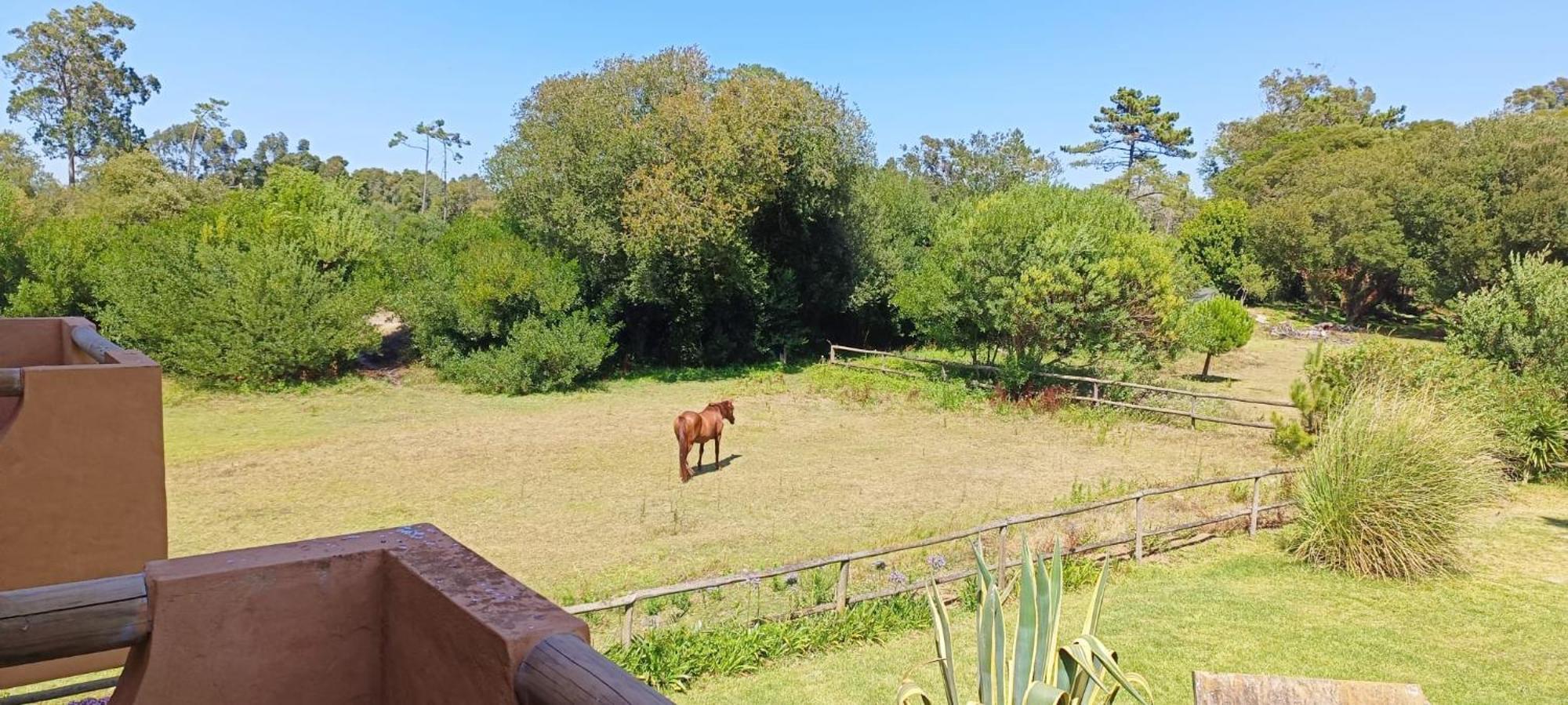 Casas Da Barra Villa Praia de Mira Buitenkant foto